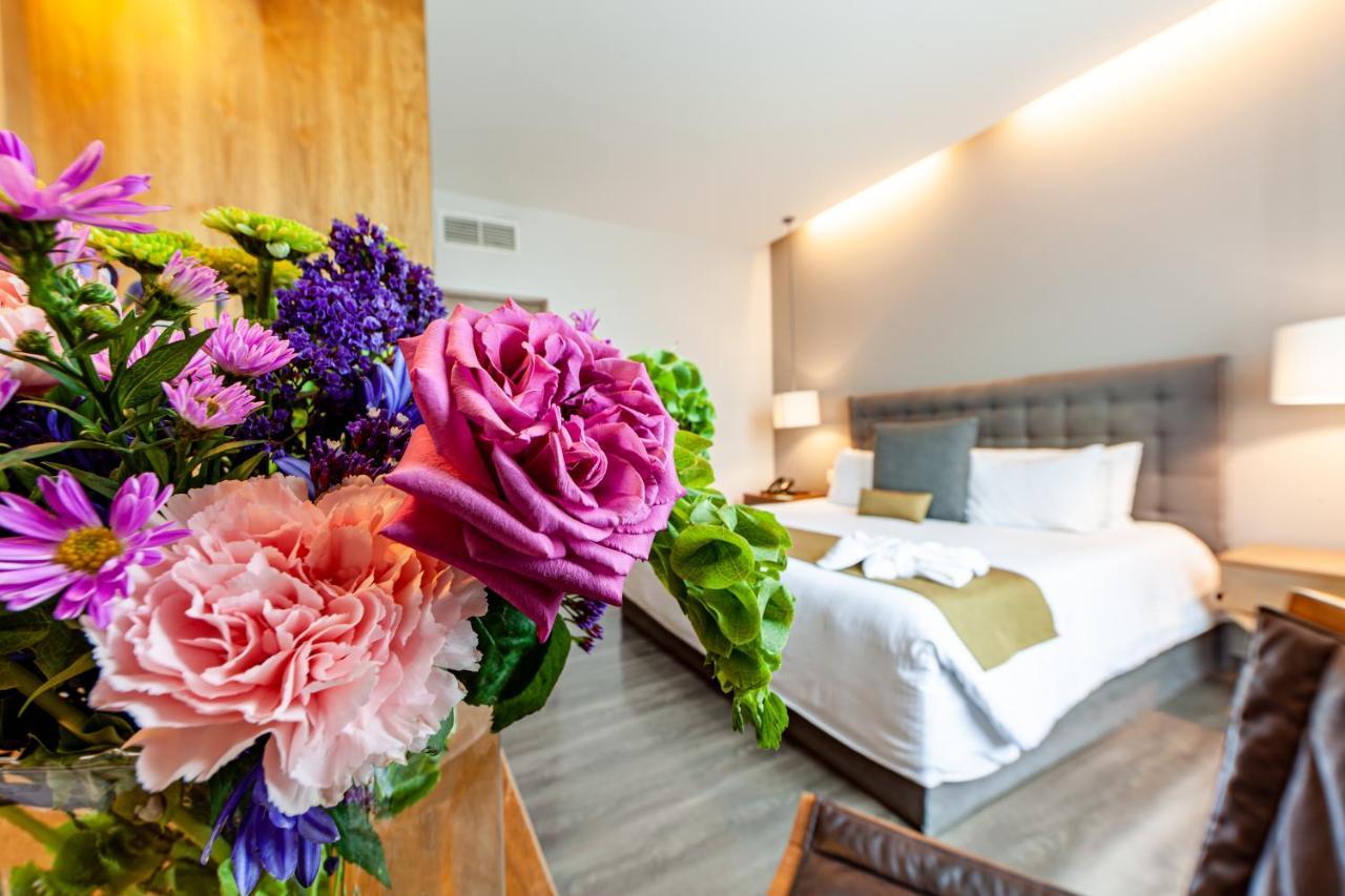 מקסיקו סיטי Suites Del Angel מראה חיצוני תמונה